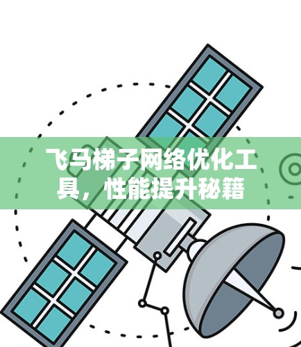 飞马梯子网络优化工具，性能提升秘籍
