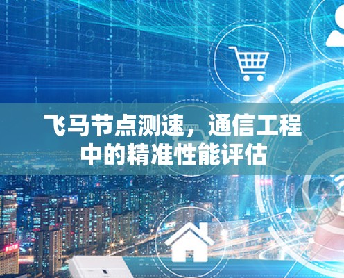 飞马节点测速，通信工程中的精准性能评估