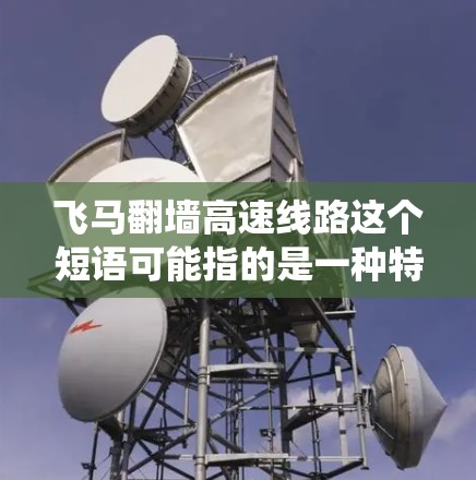 飞马翻墙高速线路这个短语可能指的是一种特定的网络技术或系统，结合了飞马和翻墙两个概念。由于飞马和翻墙本身可能有不同的含义，具体含义需要结合上下文来判断